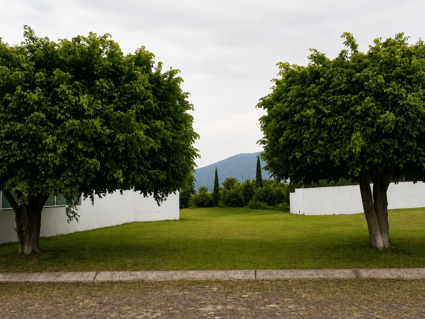 Terreno arbolado con área verde